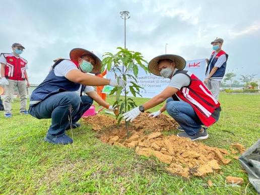 Berbagi Pembelajaran dari Konservasi Lahan Gambut Indonesia