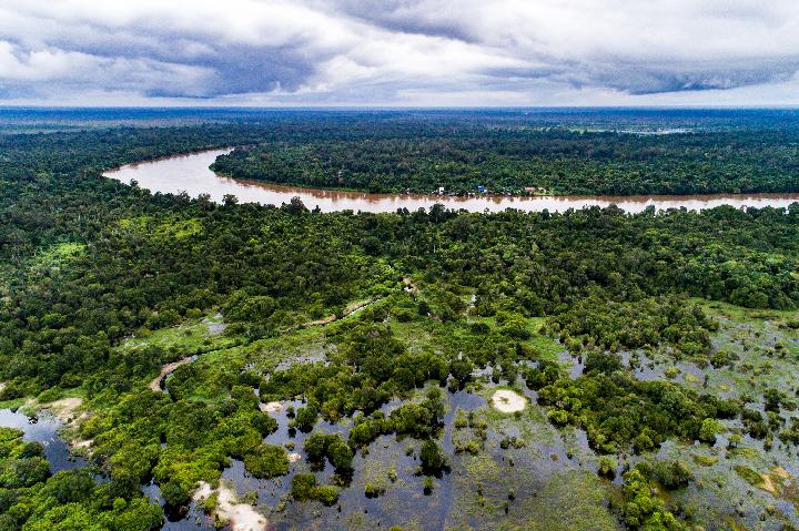 National Peatland Management Capacity Building